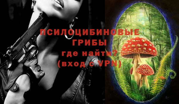 ПСИЛОЦИБИНОВЫЕ ГРИБЫ Белоозёрский