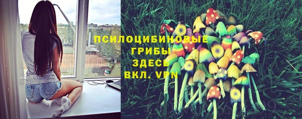 ПСИЛОЦИБИНОВЫЕ ГРИБЫ Белоозёрский