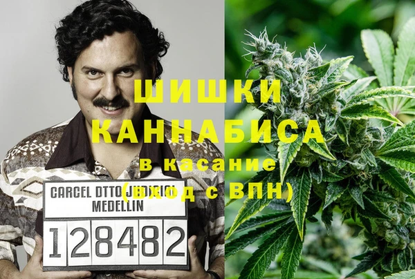 ПСИЛОЦИБИНОВЫЕ ГРИБЫ Белоозёрский