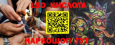 стаф Керчь