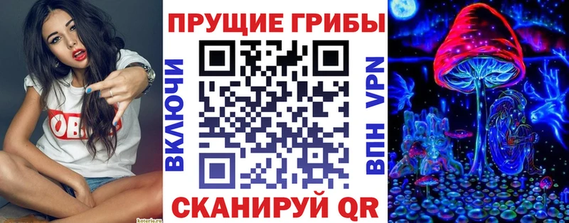 Галлюциногенные грибы Cubensis Лыткарино