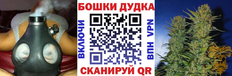 Марихуана сатива  Лыткарино 